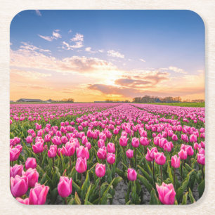 Porta-copo De Papel Quadrado Flores Tulips South Holland, Países Baixos