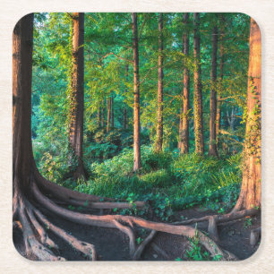 Porta-copo De Papel Quadrado Floresta no verão