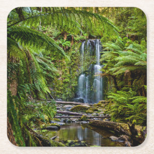 Porta-copo De Papel Quadrado Florestas   Beauchamp Falls Austrália