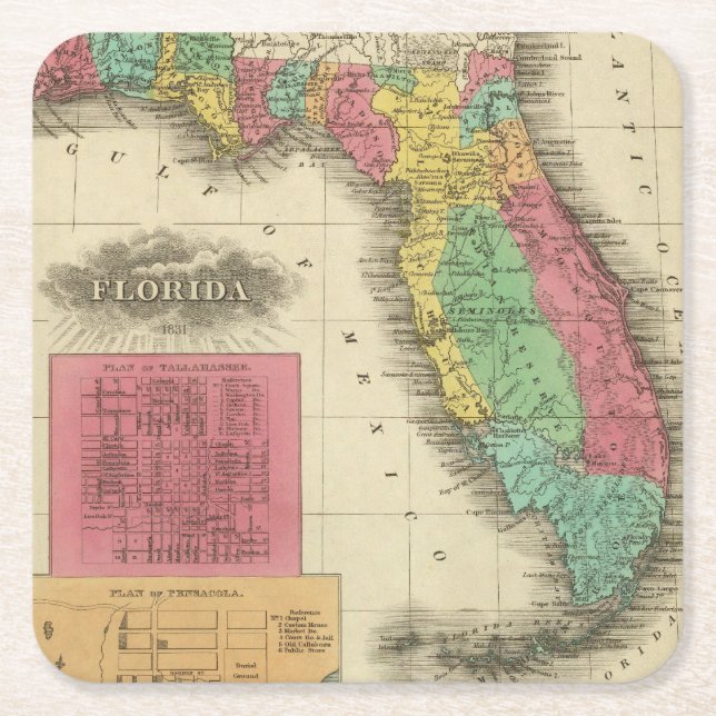 Porta-copo De Papel Quadrado Florida 10 2 (Frente)