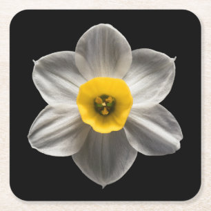 Porta-copo De Papel Quadrado Flowers White Daffodil Flower