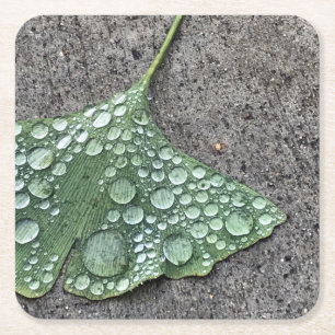 Porta-copo De Papel Quadrado Folha de Ginko Verde com Gotas de Água