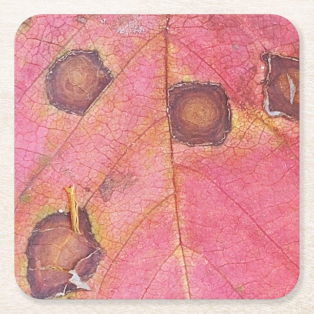 Porta-copo De Papel Quadrado Folha Vermelha Marrom Dotada (Frente)