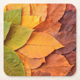 Porta-copo De Papel Quadrado Folhagem do outono: Portas copos da natureza