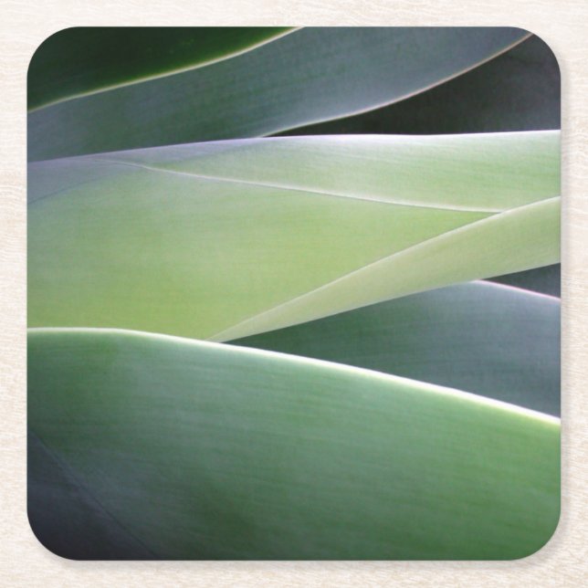 Porta-copo De Papel Quadrado Folhas da agave (Frente)