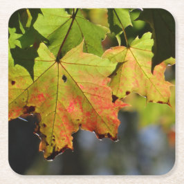 Porta-copo De Papel Quadrado Folhas de outono coloridas