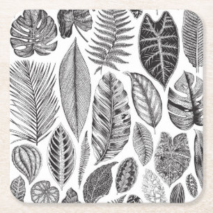 Porta-copo De Papel Quadrado Folhas exóticas, preto e branco floral vintage.
