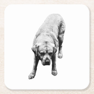 Porta-copo De Papel Quadrado Força Posta