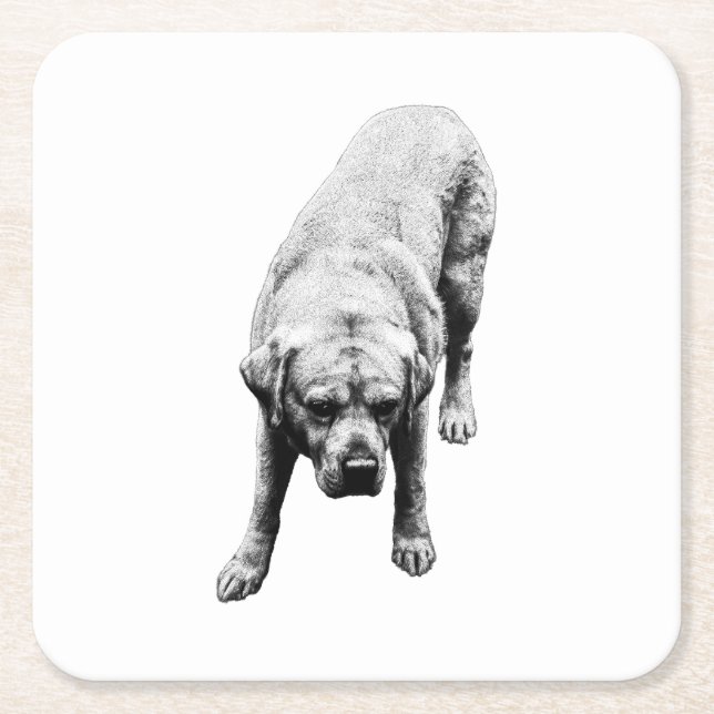 Porta-copo De Papel Quadrado Força Posta (Frente)