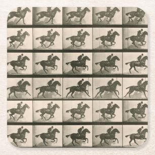Porta-copo De Papel Quadrado Foto de Movimento do Cavalo em Movimento