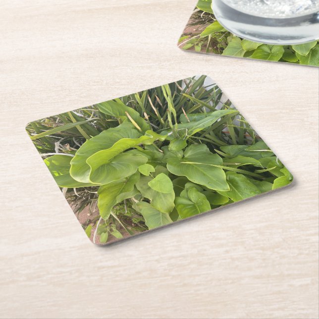 Porta-copo De Papel Quadrado Foto do Jardim do Quintal ao ar livre (Inclinado)