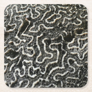 Porta-copo De Papel Quadrado Foto natural do Abstrato do Coral Negro e Branco I