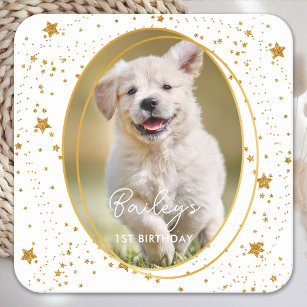 Porta-copo De Papel Quadrado Foto personalizada: Pet Dog Birthday - Estrelas Do