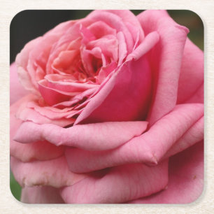 Porta-copo De Papel Quadrado Fotografia Bonito Floral Rosa Rosa I