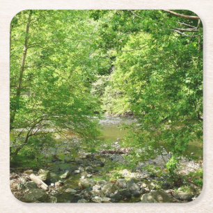 Porta-copo De Papel Quadrado Fotografia da Natureza do Rio Patapsco em Maryland
