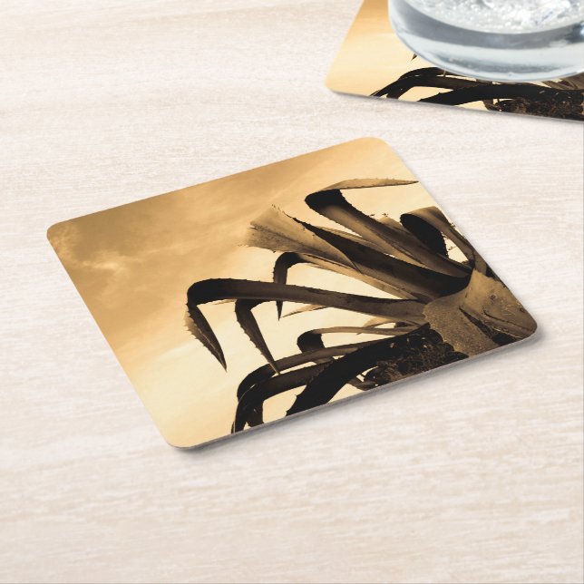 Porta-copo De Papel Quadrado Fotografia da Planta Espanhola Sepia Aloe (Inclinado)