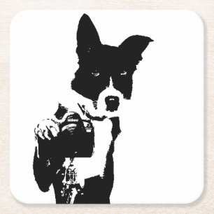 Porta-copo De Papel Quadrado Fotógrafo canino