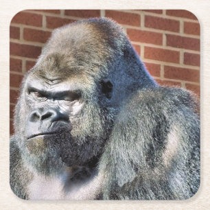 PORTA-COPO DE PAPEL QUADRADO FUNNY GORILLA