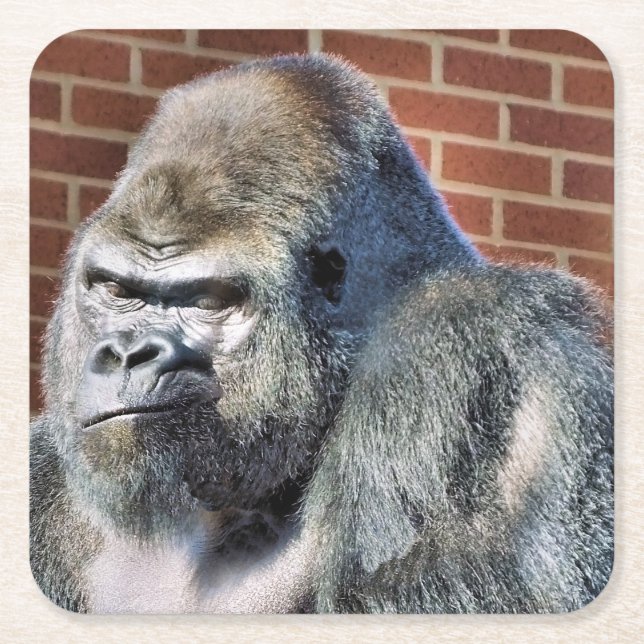 PORTA-COPO DE PAPEL QUADRADO FUNNY GORILLA (Frente)