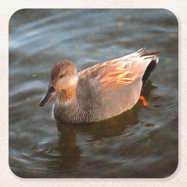 Porta-copo De Papel Quadrado Gadwall Duck Drake no lago (Frente)