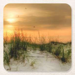 Porta-copo De Papel Quadrado Gaivotas ao amanhecer