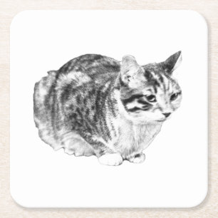 Porta-copo De Papel Quadrado Galeria Pequena: Tabby em Cushion