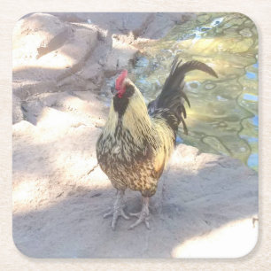Porta-copo De Papel Quadrado Galo Bebendo Coasters