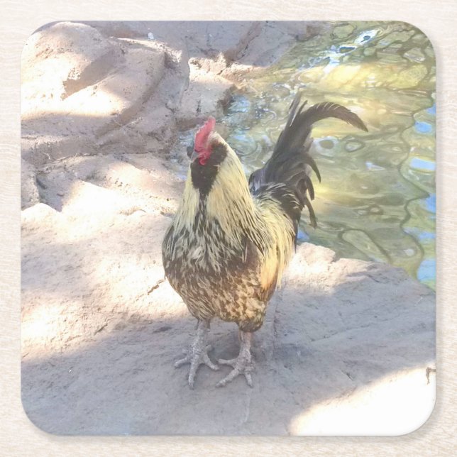 Porta-copo De Papel Quadrado Galo Bebendo Coasters (Frente)
