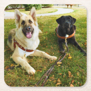 Porta-copo De Papel Quadrado Garotas trabalhadoras