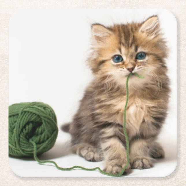 Porta-copo De Papel Quadrado Gatinho com fio verde (Frente)