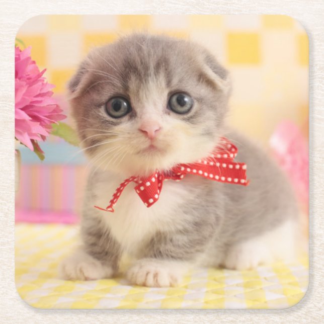 Porta-copo De Papel Quadrado Gatinho de Munchkin (Frente)