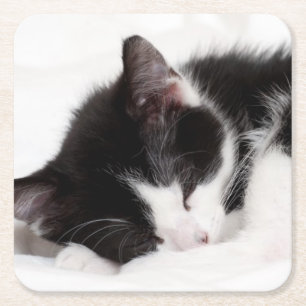 Porta-copo De Papel Quadrado Gatinho do sono