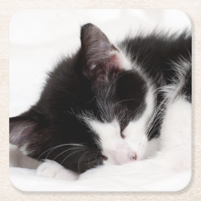 Porta-copo De Papel Quadrado Gatinho do sono (Frente)