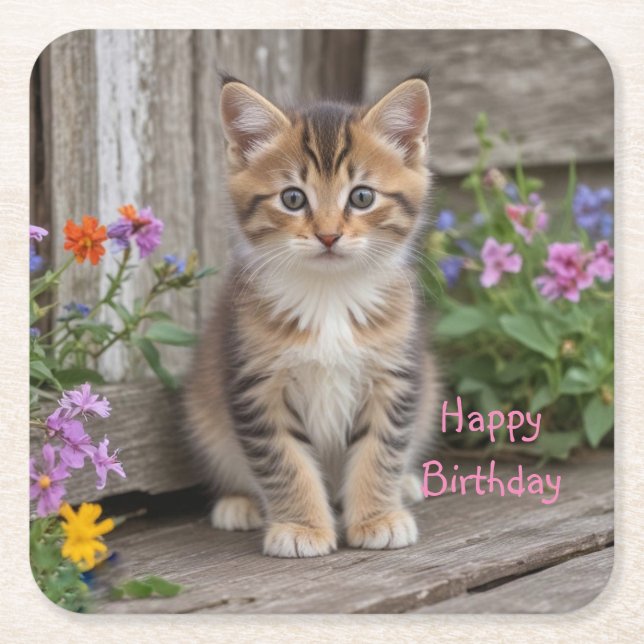 Porta-copo De Papel Quadrado Gatinho Gato (Frente)