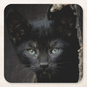 Porta-copo De Papel Quadrado Gatinho preto pequeno