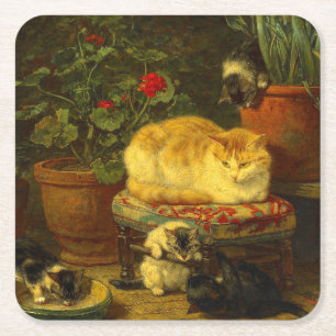 Porta-copo De Papel Quadrado Gatinhos no Play