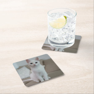 Porta-copo De Papel Quadrado Gato branco Zazzle_Growth.