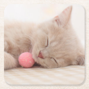 Porta-copo De Papel Quadrado Gato britânico de Shorthair