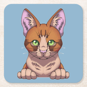 Porta-copo De Papel Quadrado Gato Cinto