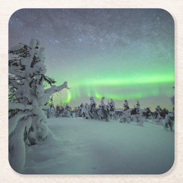 Porta-copo De Papel Quadrado Gelo e neve | Parque Nacional de Pallas-Yllastuntu (Frente)