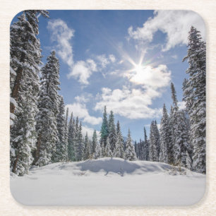 Porta-copo De Papel Quadrado Gelo e neve Sunrise Winter Snow Alberta, Canadá