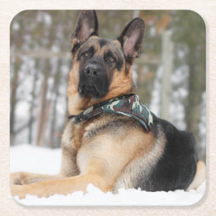 Porta-copo De Papel Quadrado German shepherd Na Neve