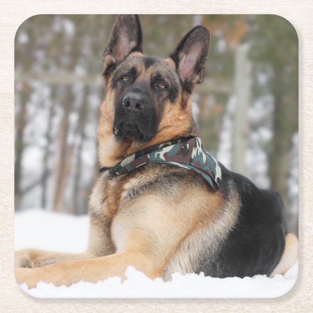 Porta-copo De Papel Quadrado German shepherd Na Neve (Frente)