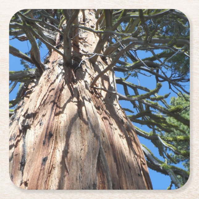 Porta-copo De Papel Quadrado Gigante da Califórnia (Frente)