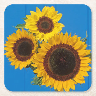 Porta-copo De Papel Quadrado Girassóis contra cerca azul