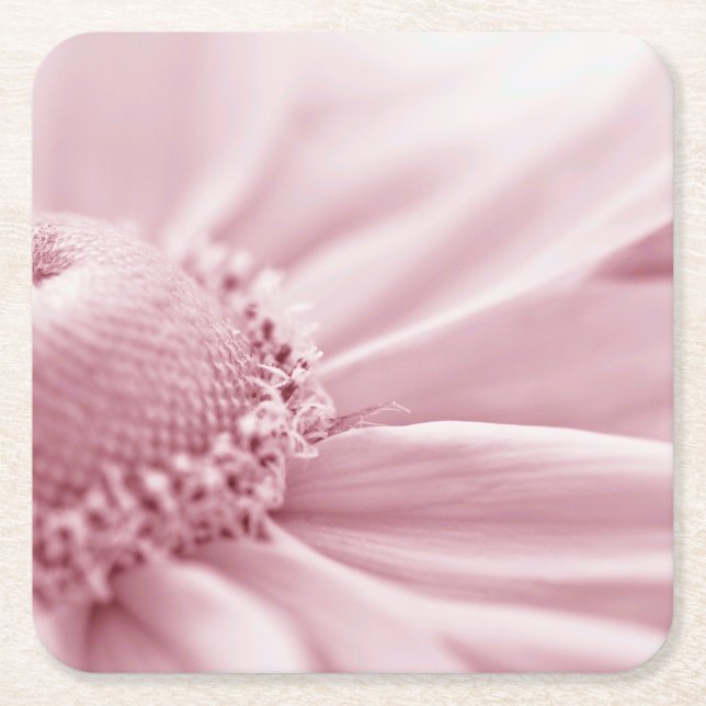 Porta-copo De Papel Quadrado Gloriosa Daisy Macro (Frente)