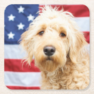 Porta-copo De Papel Quadrado Goldendoodododle com bandeira americana