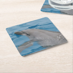 Porta-copo De Papel Quadrado Golfinho Nadando Em Águas Do Oceano Azul Profundo
