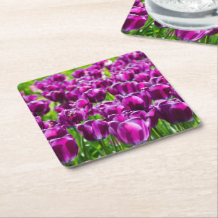 Porta-copo De Papel Quadrado Grande campo de tulipas roxas