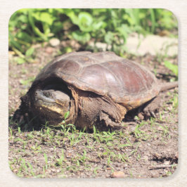 Porta-copo De Papel Quadrado Grande cara